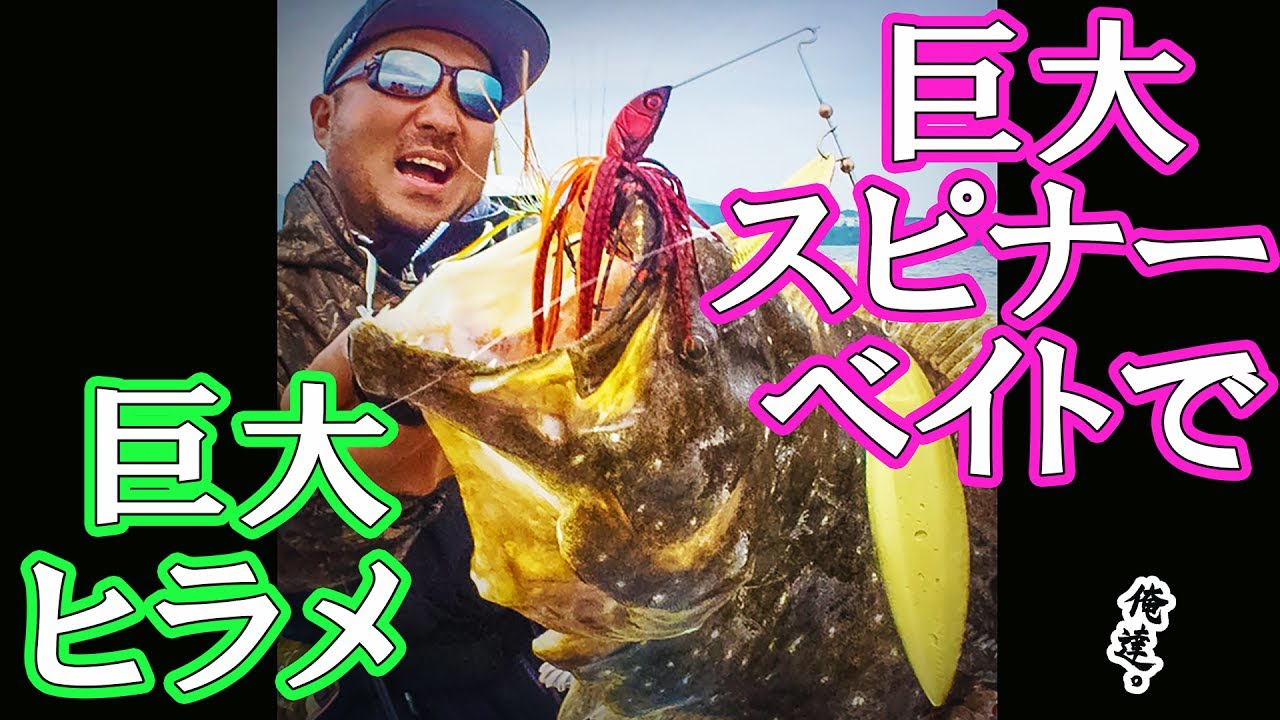 海でメガロドーン投げたら巨大ヒラメ釣れちゃった！