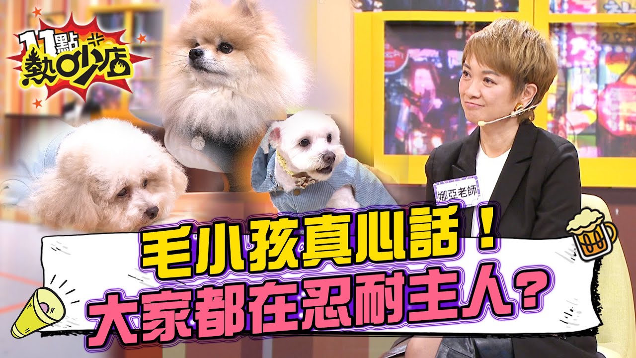 Gino拍戲哭不出來全靠「牠」？看一眼愛犬照片秒落淚！唐綺陽感性金句：「愛上動物.靈魂才會覺醒」#11點熱吵店 20260108 拆條精華篇｜#徐新洋 #王敏淳 #Gino #宋哥 #陳華#林襄#娜亞
