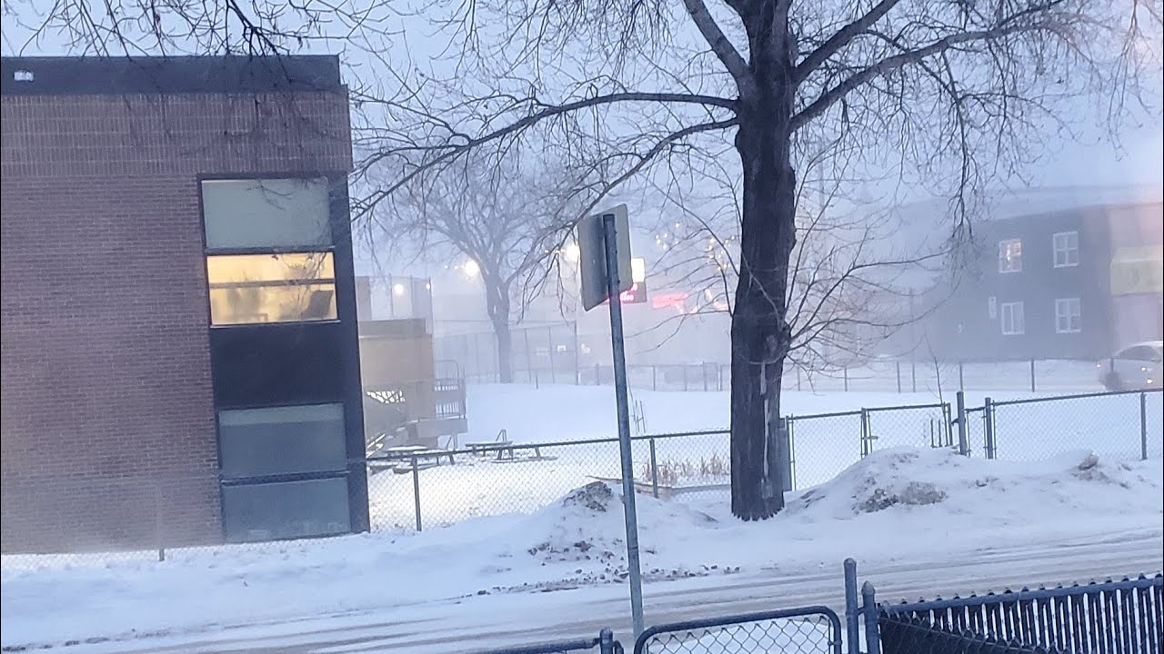 Snowfall night 🌙 #kaganda21vlog #live #street #winter #snow #livestream #winnipeg