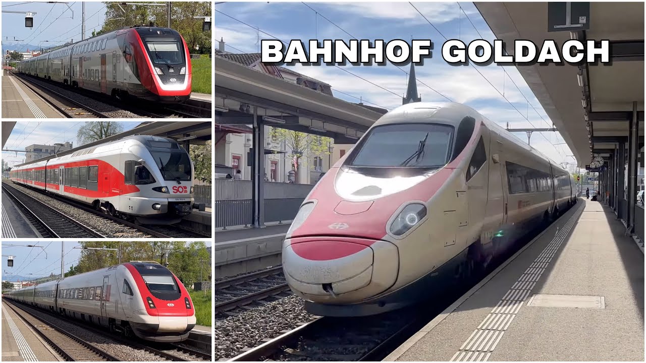 Züge beim Bahnhof Goldach | Trains at Goldach station (2024)