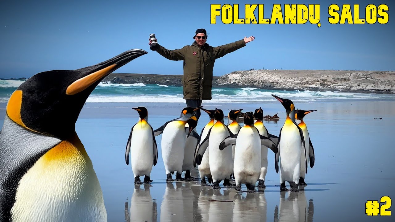 FOLKLANDŲ SALOS #2: NIEKO GRAŽIAU NESU MATĘS!