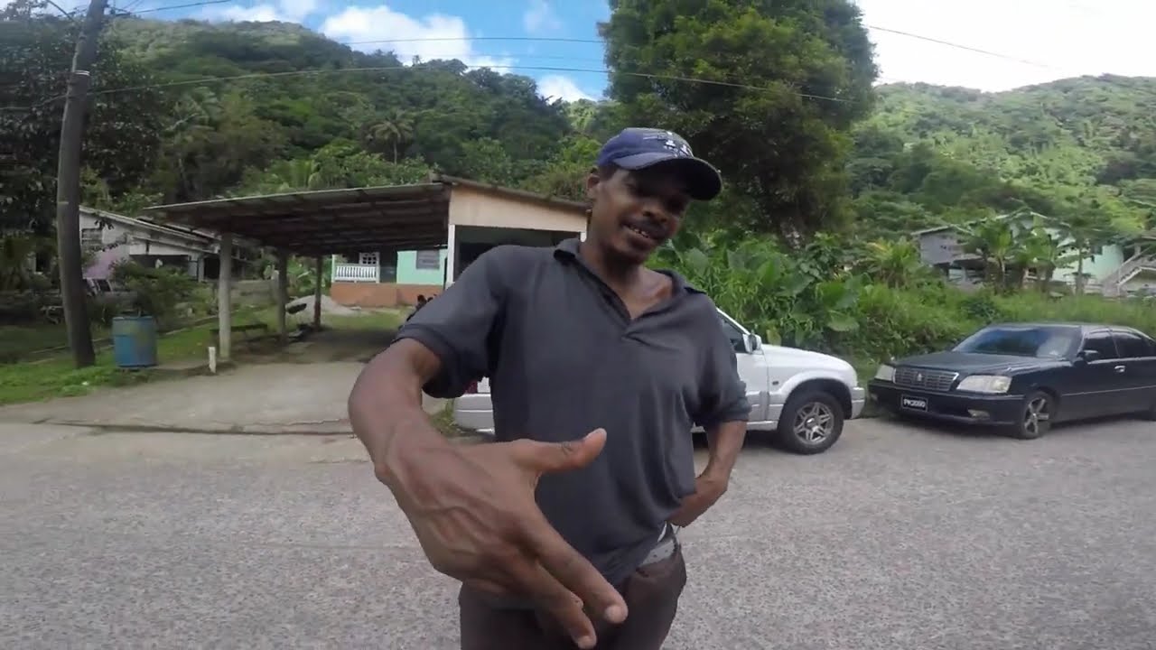 You need to visit En Bas Saut Waterfall soufriere ​⁠