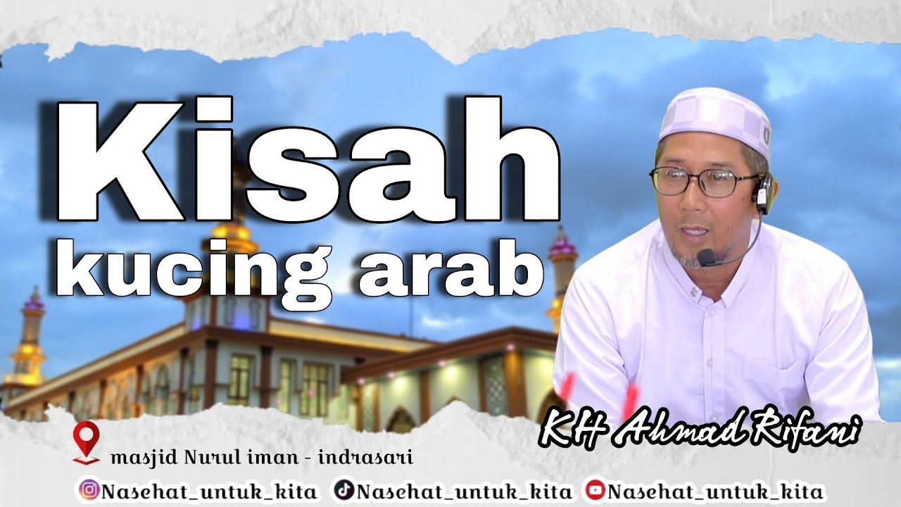 Guru rifani -88 || Kisah kucing arab #gururifani