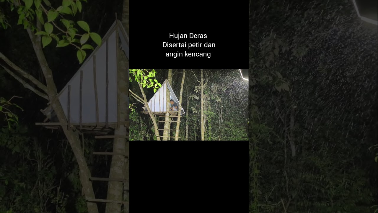 camping hujan berteduh di dalam rumah pohon, relaxing rain sound