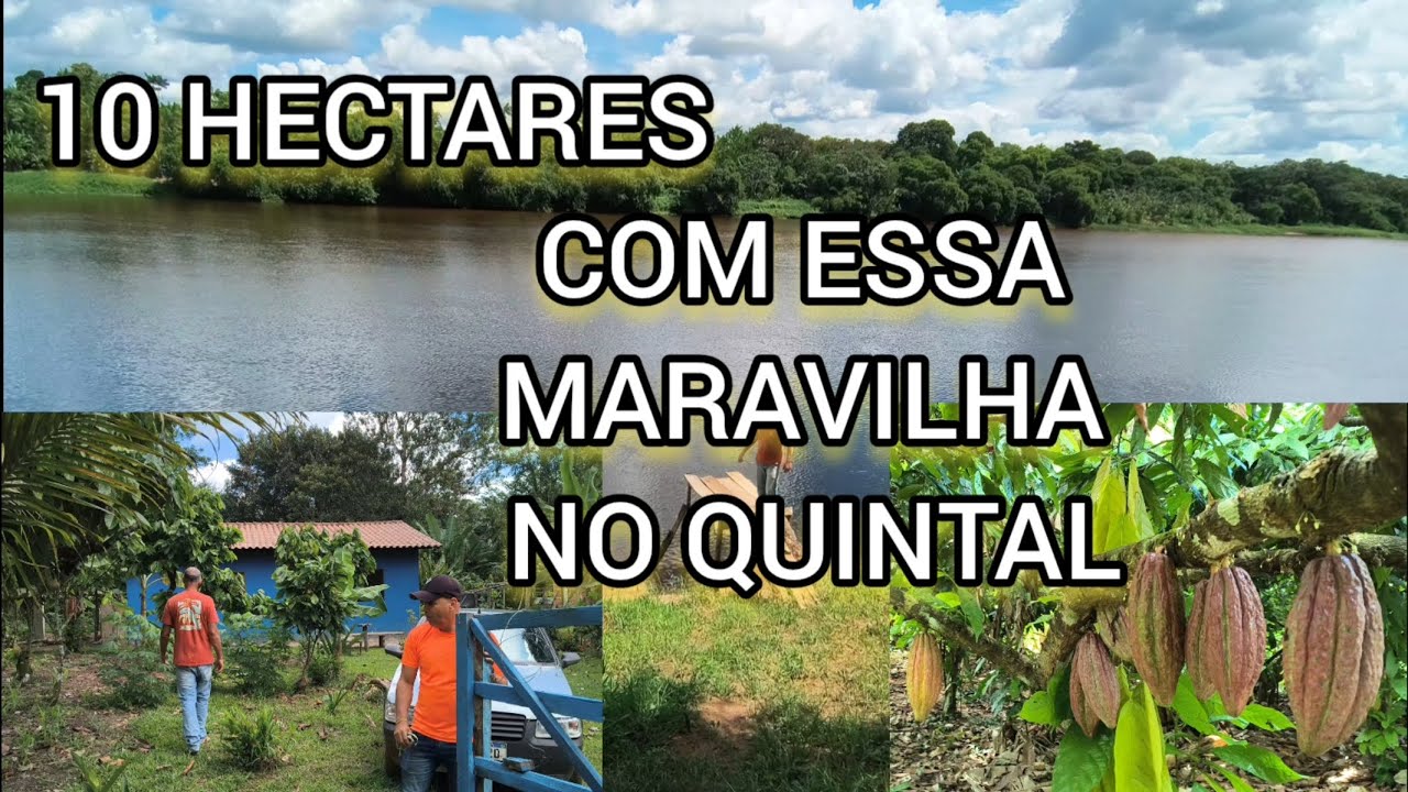 10 HECTARES AVENDA EM ITACARÉ COM UM RIO NO QUINTAL COM  CASA E CACAU 800 MIL REAIS