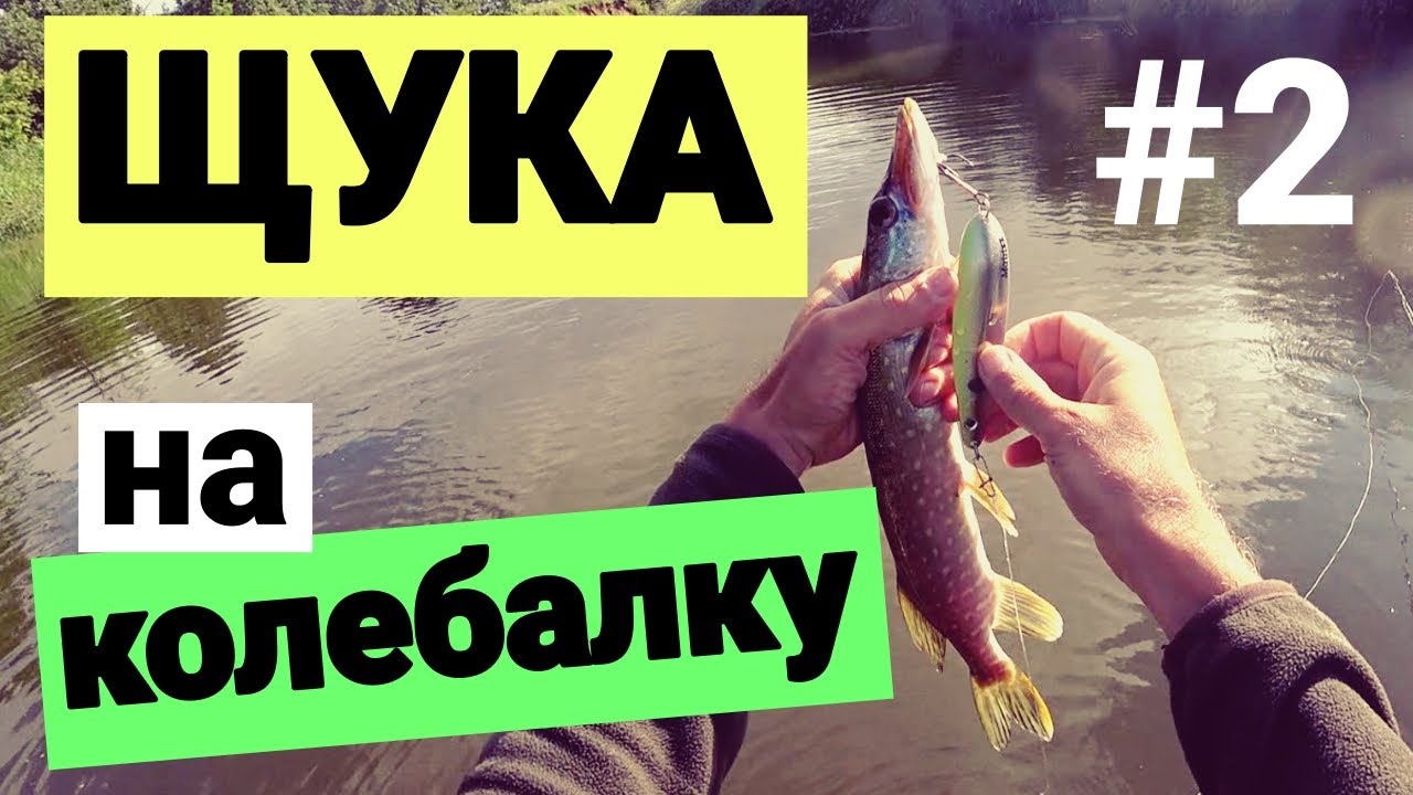 Классическая рыбалка на простую снасть: ИНЕРЦИОННАЯ КАТУШКА НЕЛЬМА, колебалки и вертушки.