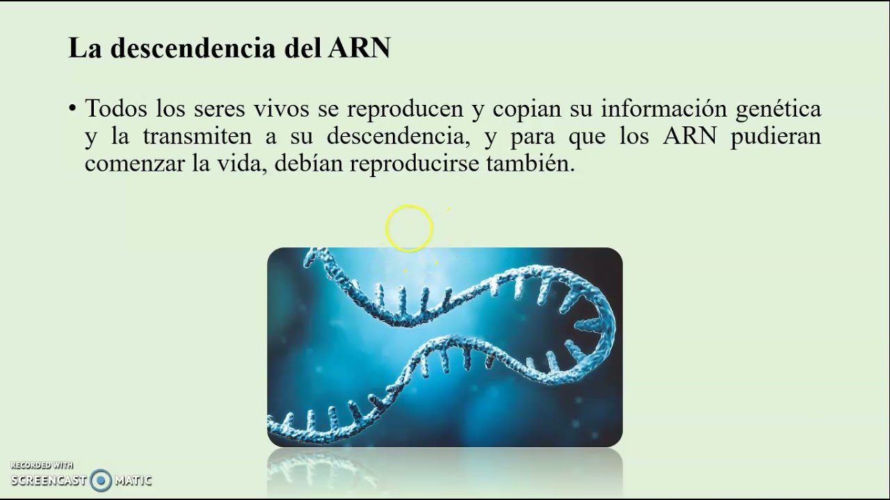 Hipótesis teoría del mundo del ARN
