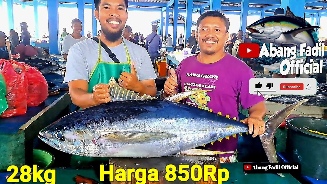 Saya Dapat pesanan Dari Abang Gultom Potong 1 Ekor Big TUNA Ukuran sedang Stel Potongan Bakar,,,,