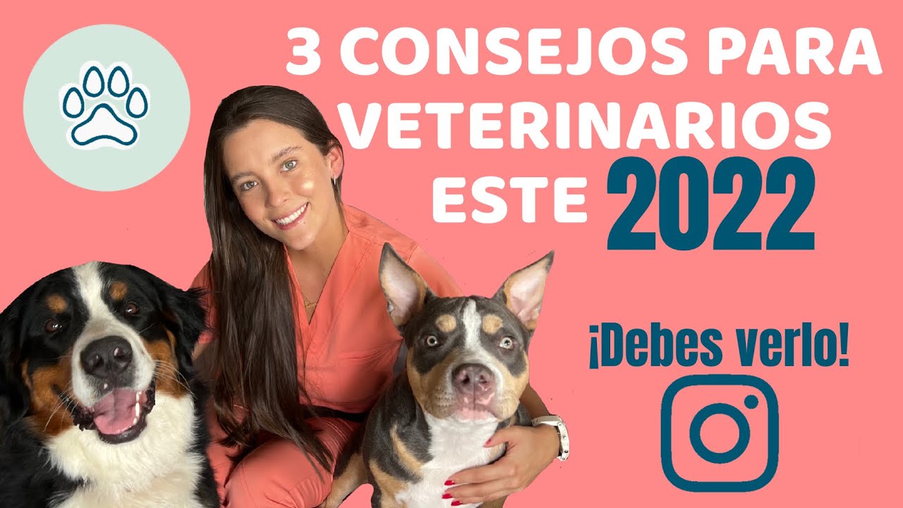 3 CONSEJOS PARA VETERINARIOS ESTE 2022 - Lauvet