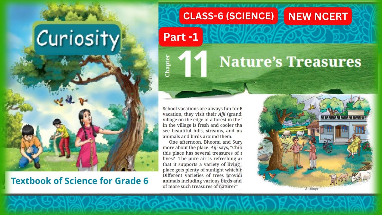Nature’s Treasures |Chapter - 11 | Class 6 Science |CURIOSITY | Part-1 #class6thscience