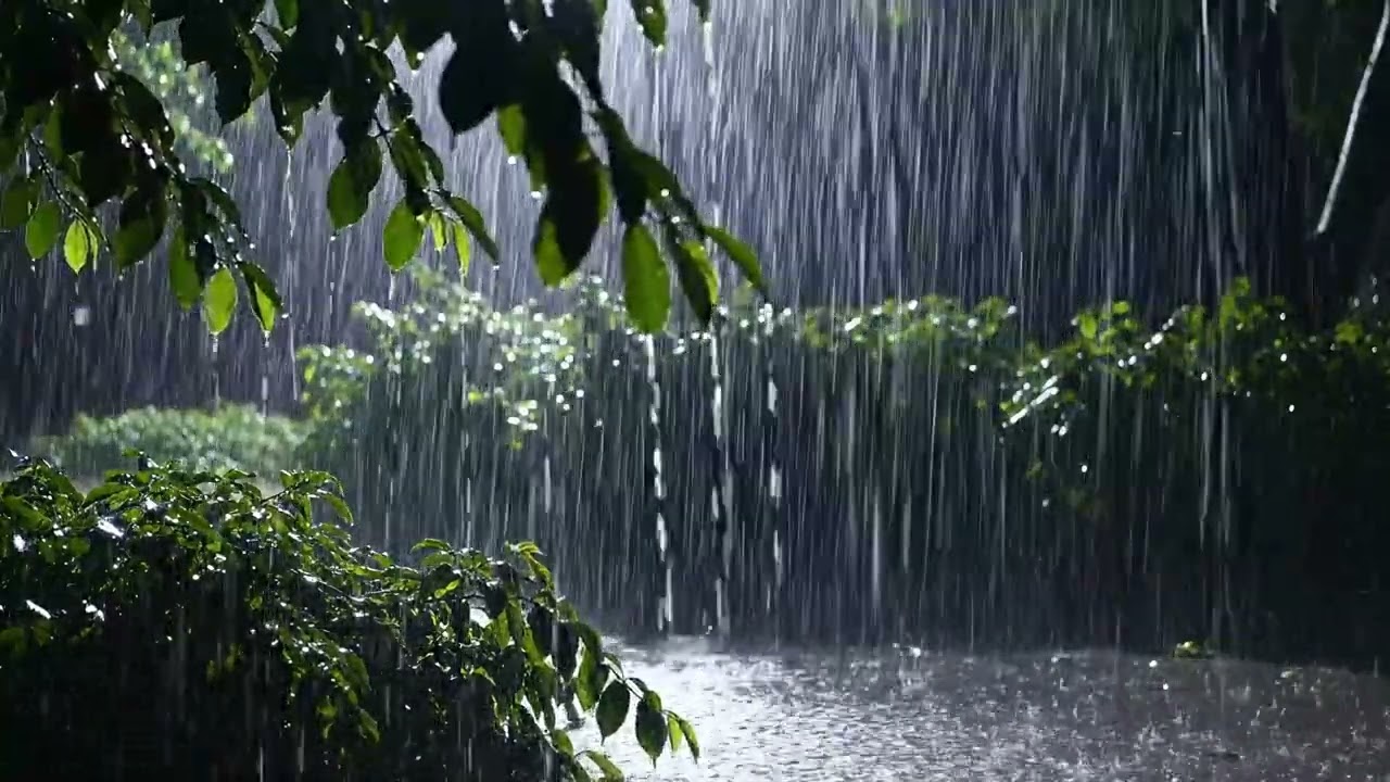 Sleep or Relax with Storm Sounds – Thunder & Rain in a Dark Forest