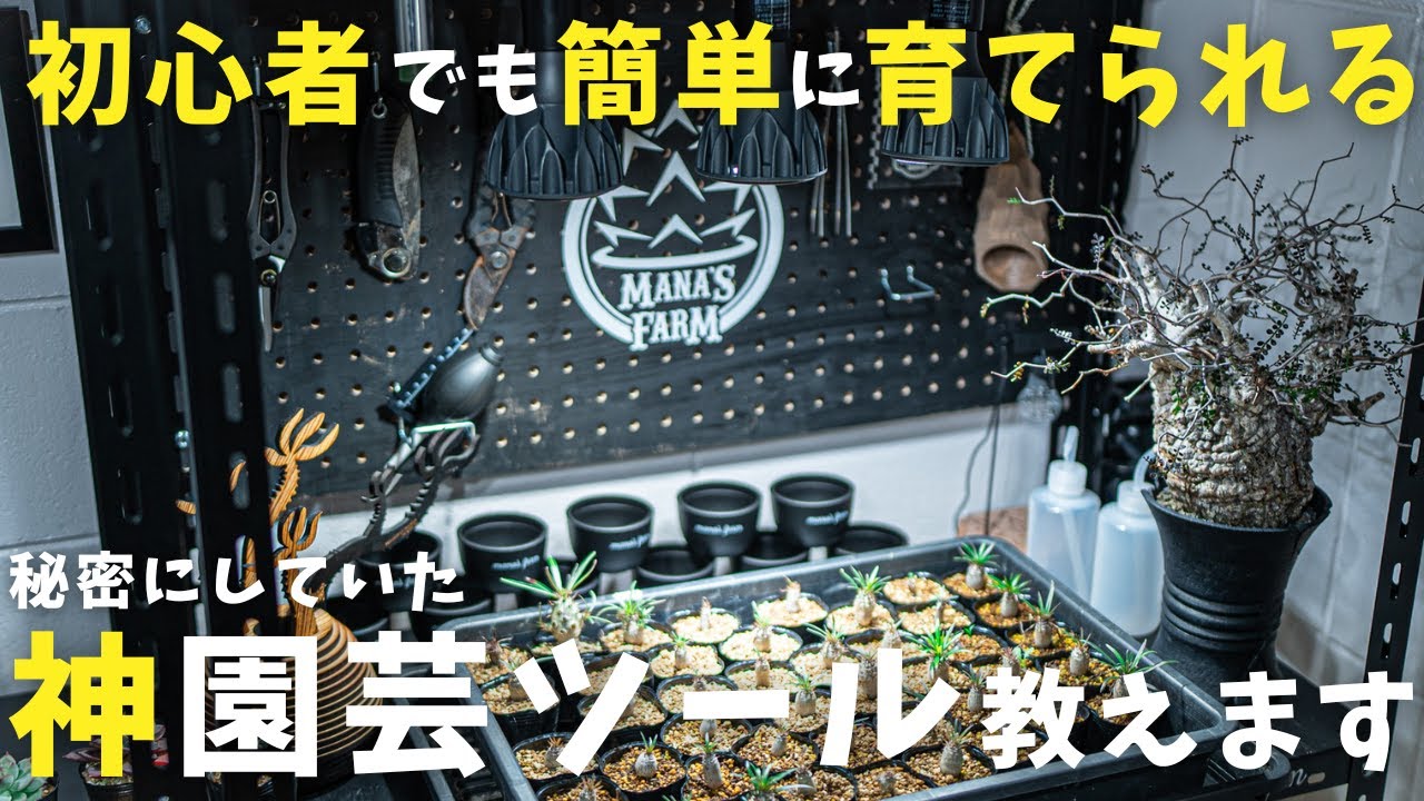 塊根を育てる最強神園芸アイテム２２選！