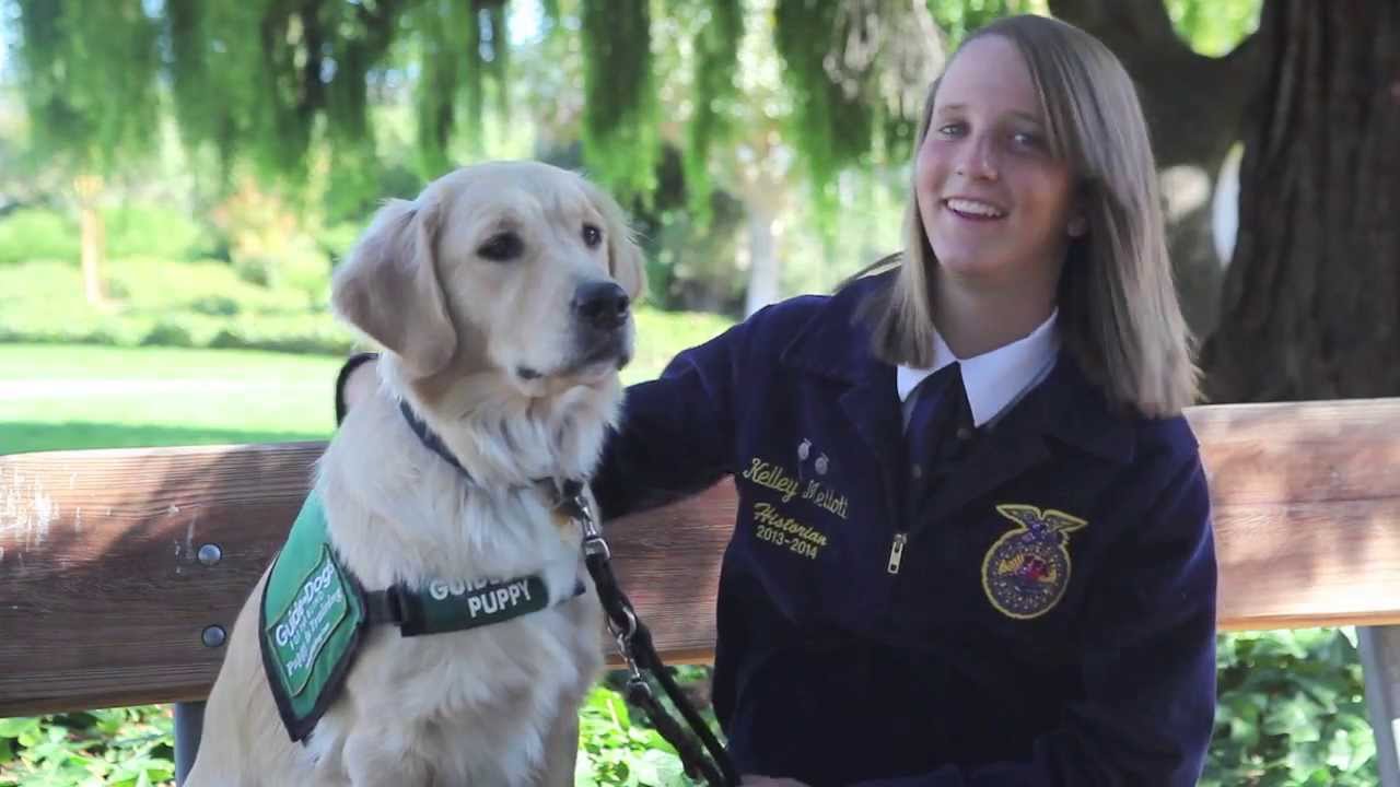 FFA SAE Project