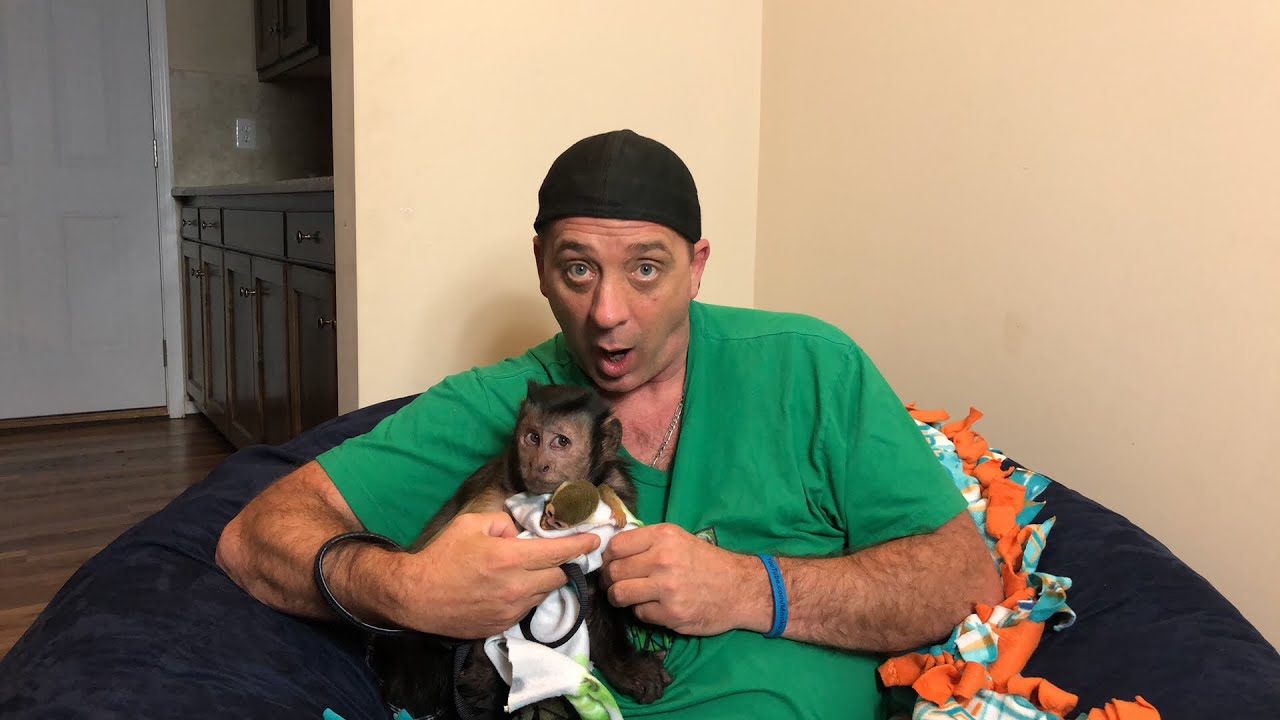 MonkeyBoo and MonkeyOllie LIVE Hurricane Preparation! (STAY SAFE)
