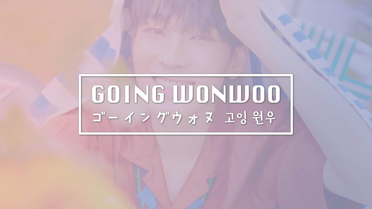 [セブチ/ウォヌ] GOING WONWOO [SEVENTEEN/세븐틴]
