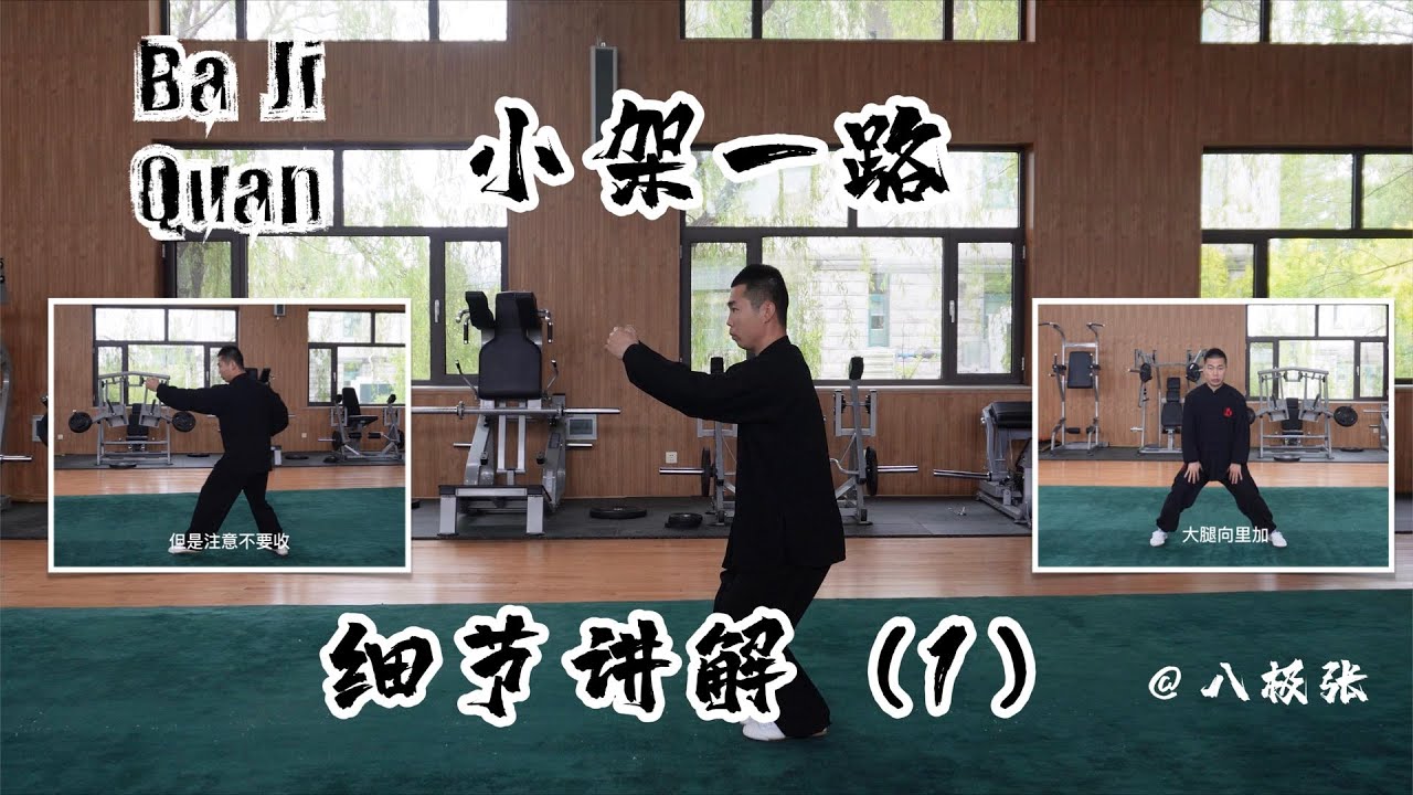 Baji Quan Detail Explanation1【Chinese Martial Arts/Kung Fu】Tutorial Session3 Form1: 八极拳教学 小架一路 细节讲解1