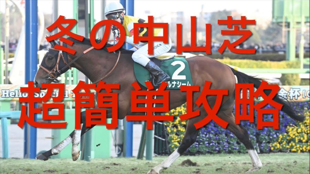 【競馬】中山芝の超簡単攻略法【競馬検証】