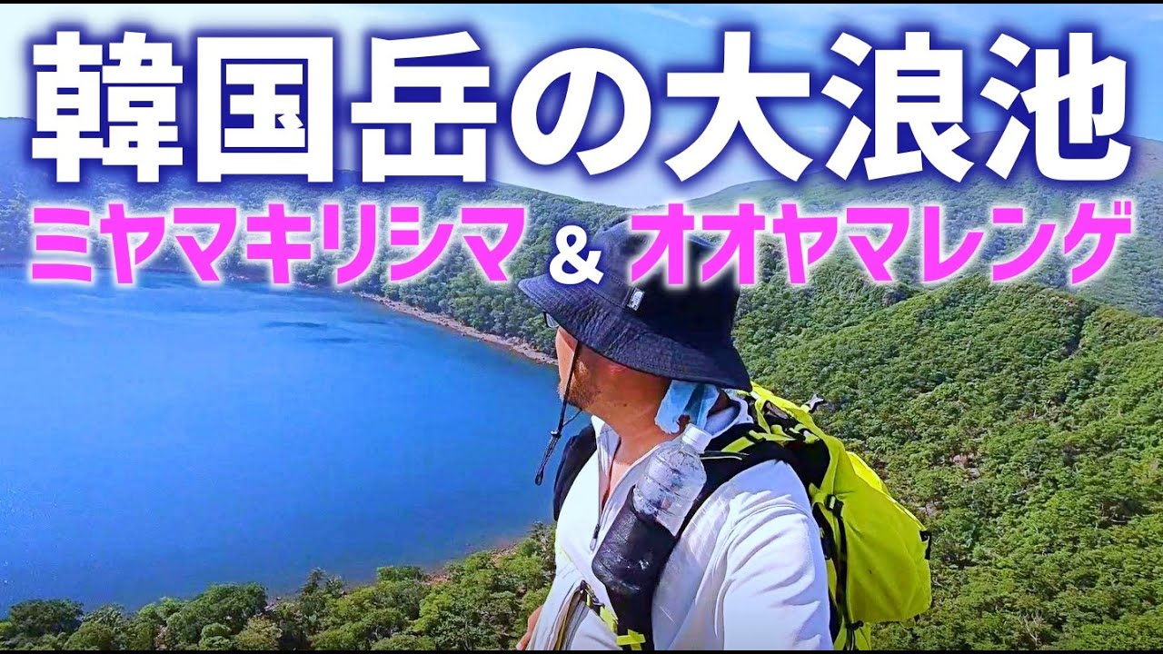 【韓国岳】大浪池へのショートカット登山口は使える？【ミヤマキリシマ＆オオヤマレンゲ】