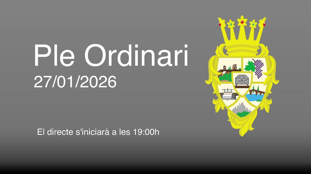 Ple Ordinari 27-01-2026