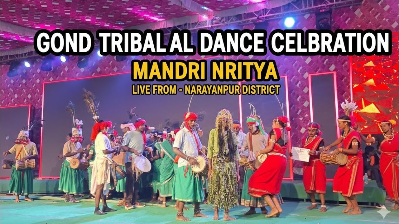 Traditional Dance Bastar Mandri Nritya Performance | Aadiwasi Culture Live 2026   #aadiwasiculture