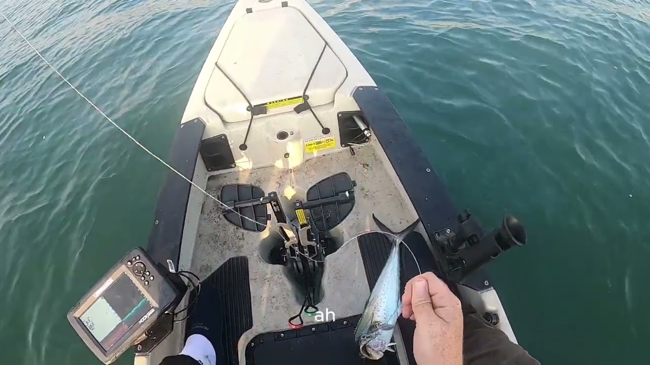 PESCA EN MANZANILLO DESDE KAYAK DE PARGOS SIERRAS Y BARRACUDAS