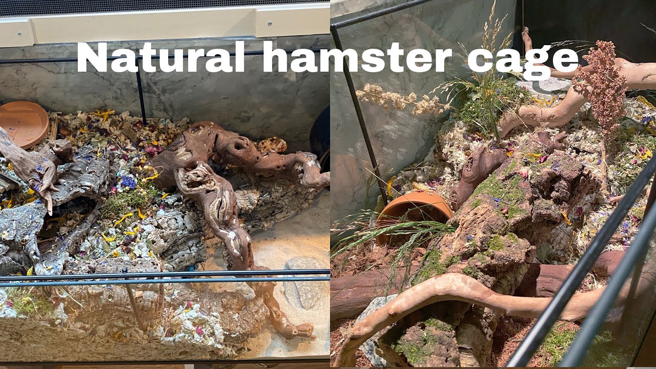 Natural hamster cage | German inspired settup