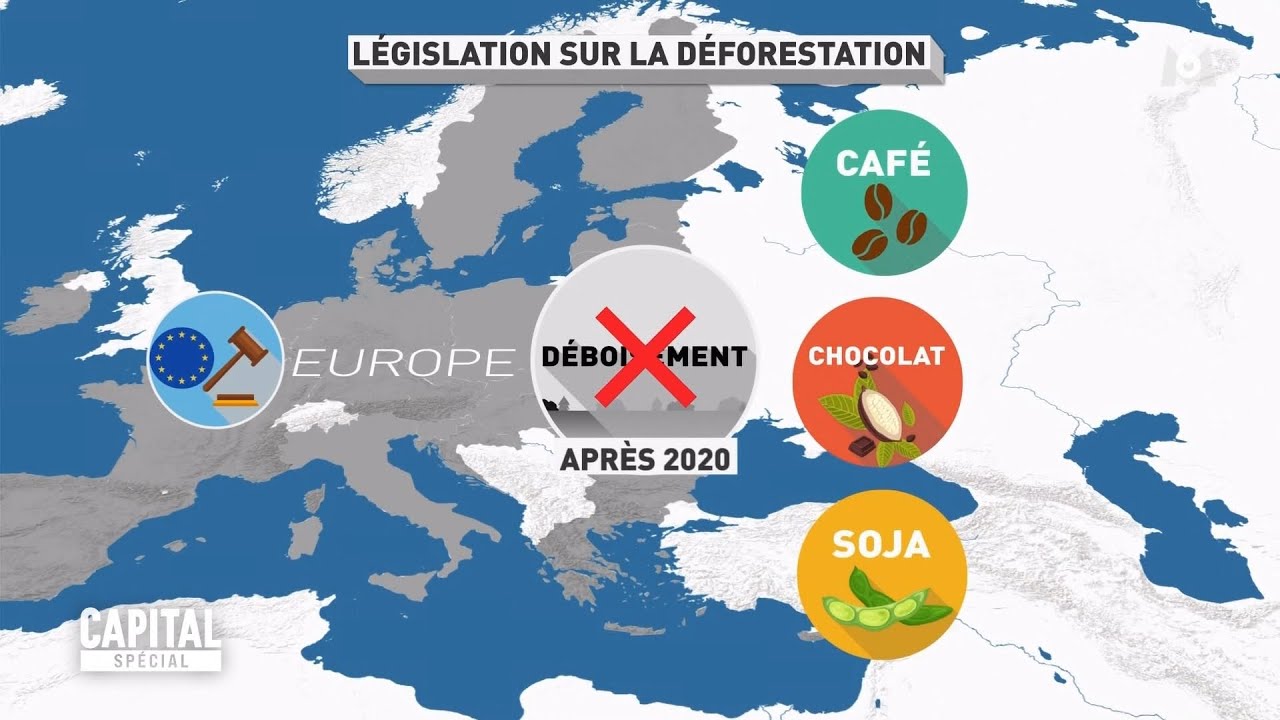 Capital - Special : des solutions pour la planete