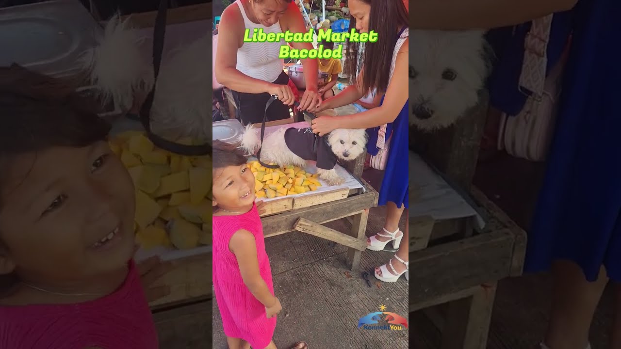 The more I ask the girls, the worse it gets. - Libertad public market 1v