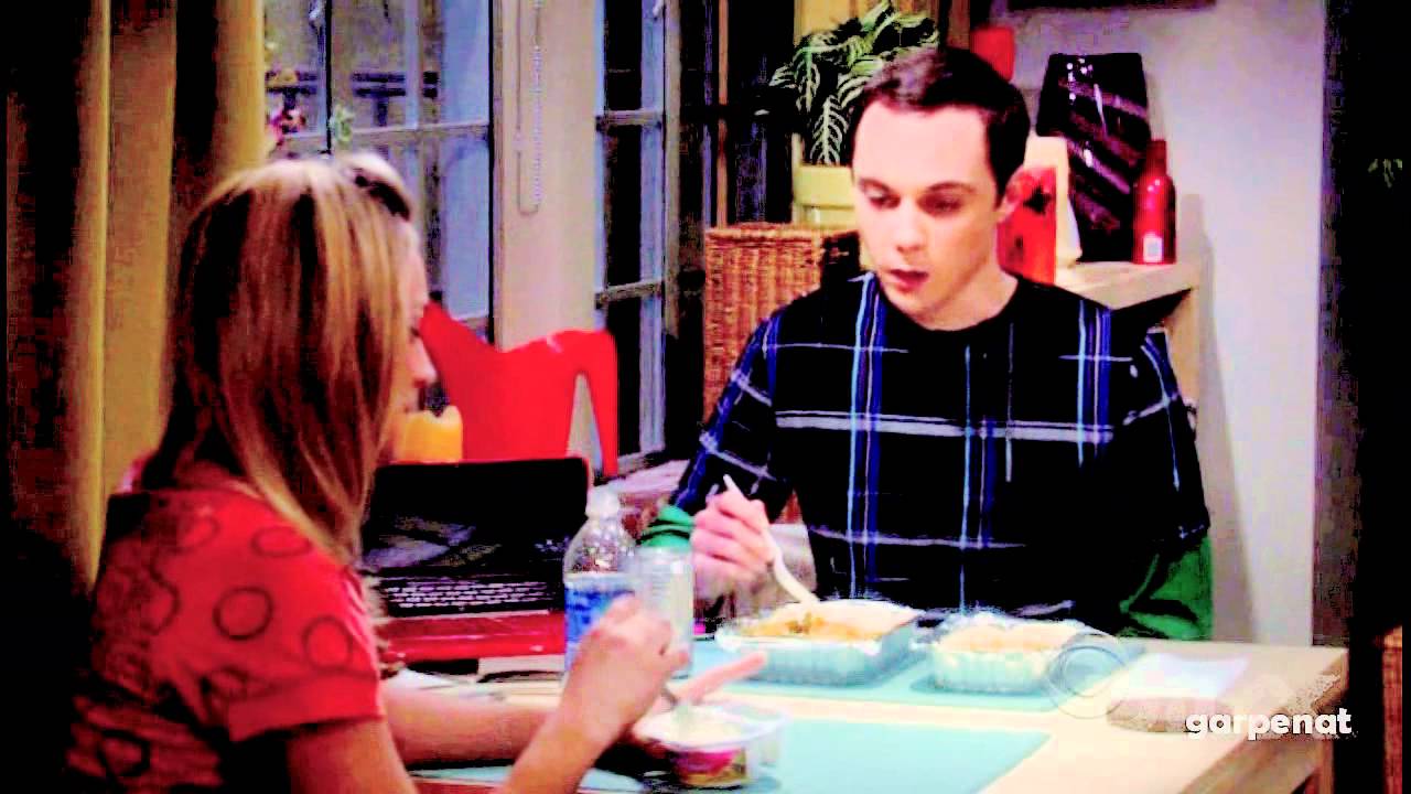 Sheldon & Penny - Just Forget The World