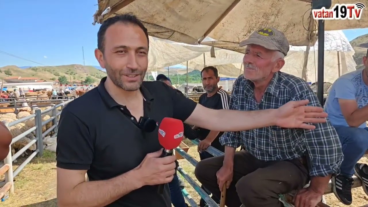 Soran çok alan yok