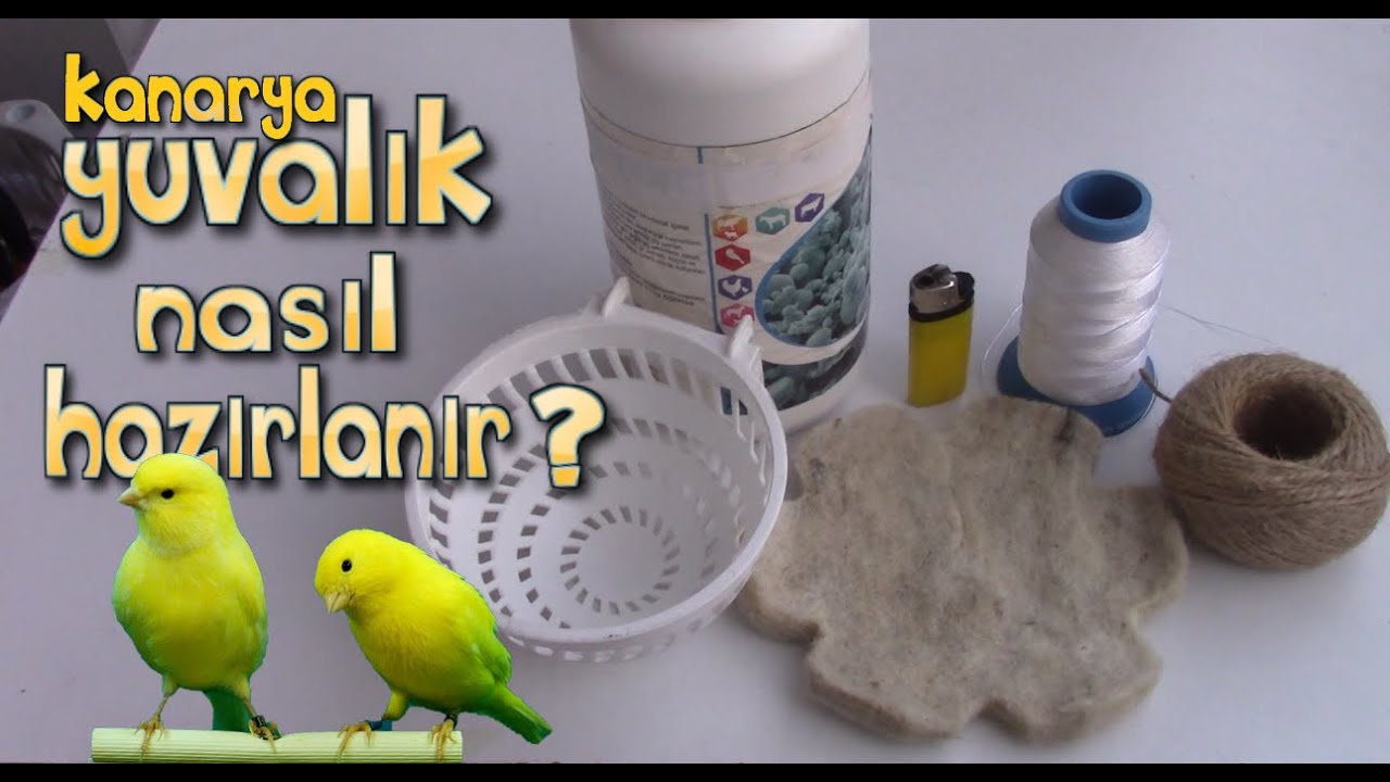 Kanarya Yuvalık Nasıl Hazırlanır | Hangi Malzemeler Kullanılır | Kafeste Nereye Takılır ?