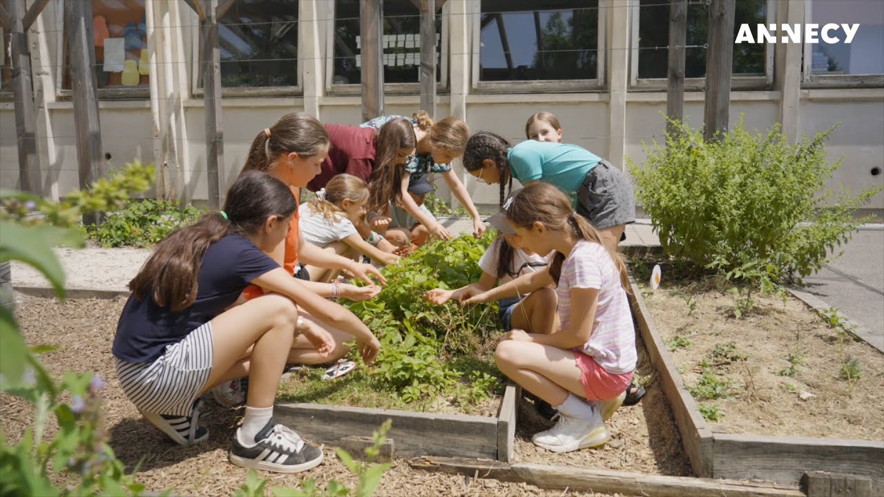 Cours végétalisées - Une nouvelle façon de penser l'école