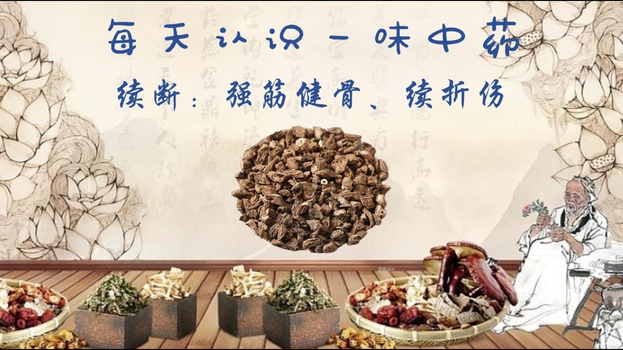 每天认识一味中药--续断 | 补肝肾、强筋骨、续折伤的传统中药