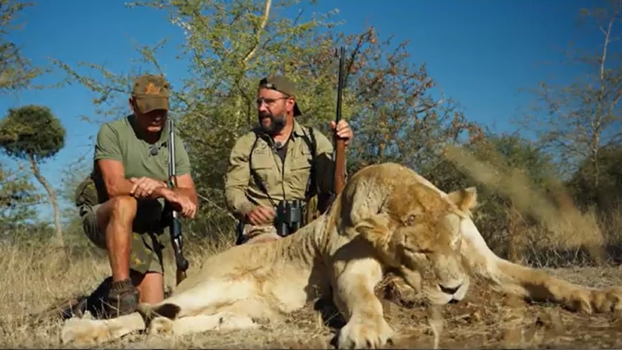 Desafío doble: kudu y leona con Pedro en The Hunter’s Dream Safari