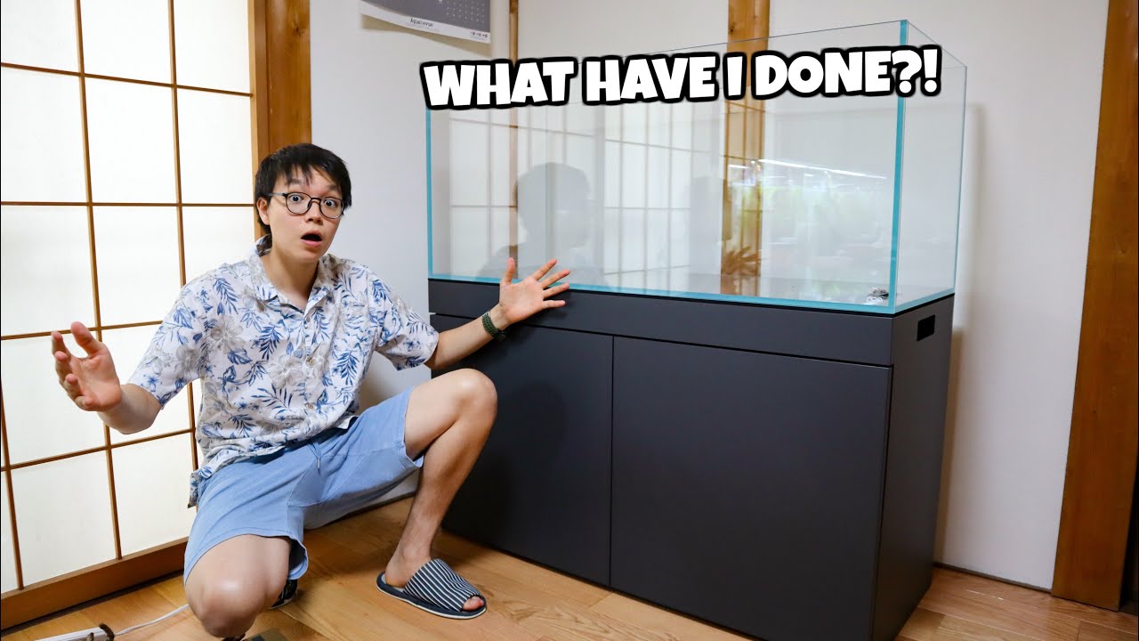 My NEW AQUARIUM & CABINET! I Can't Believe I Bought This!