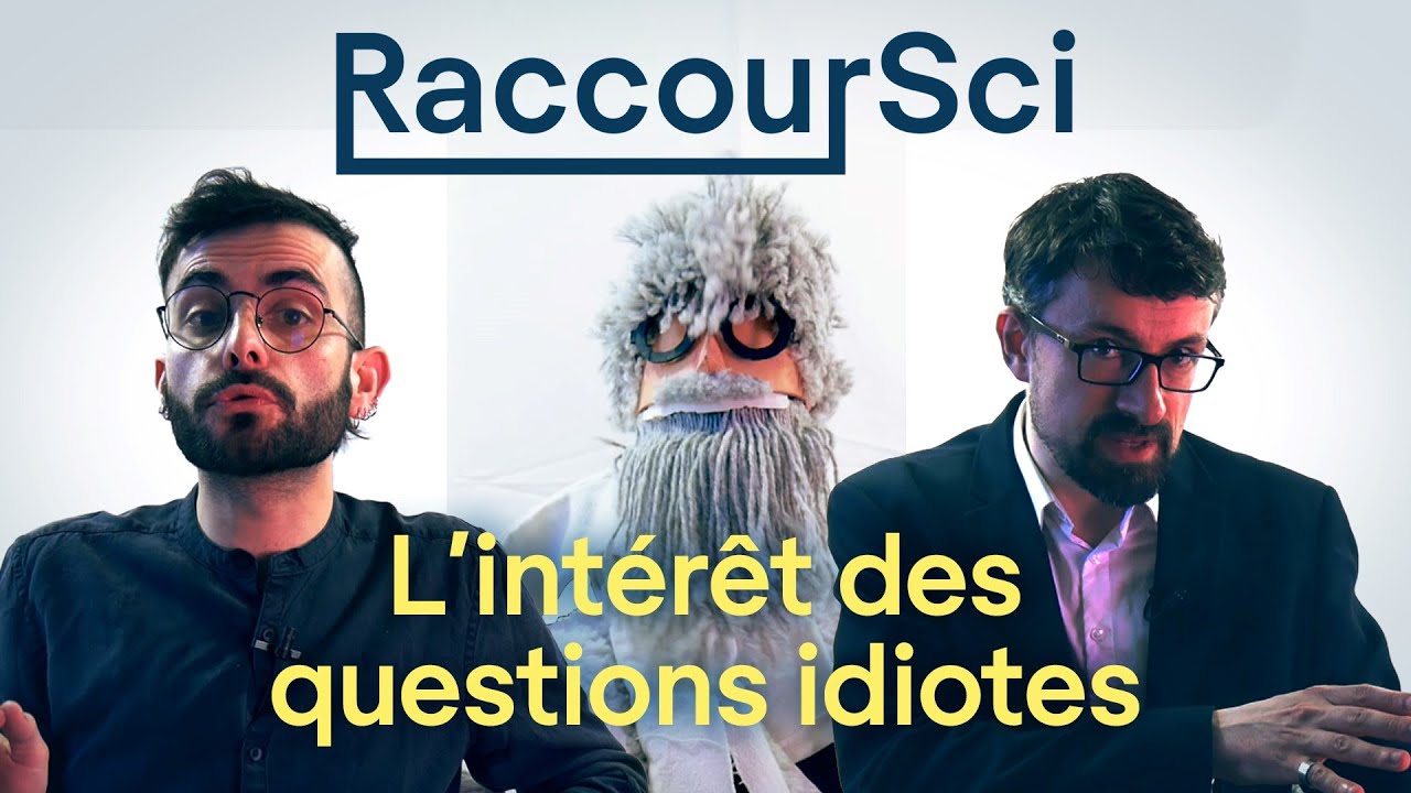 L'intérêt des questions idiotes - La Tronche en Biais