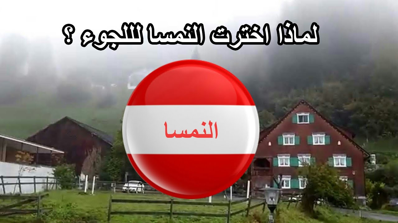 ميزات اللجوء في النمسا ٢٠٢١_٢٠٢٢  الاقامة  _ لم الشمل_ الرواتب_ الجنسية.