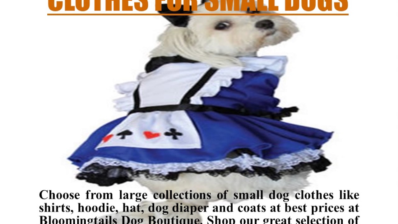 Clothes for Small Dogs