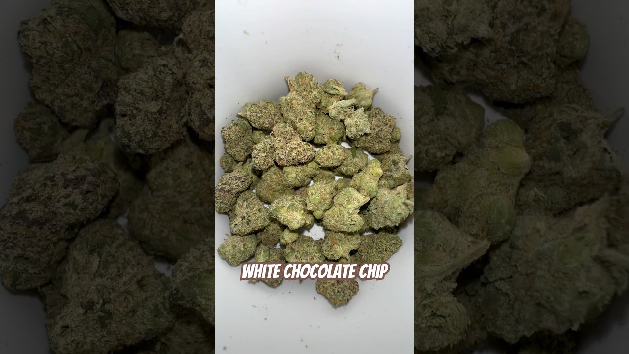 White Chocolate Chip | THCAKING #weedcommunity #420community #cannabisdaily #stayhigh