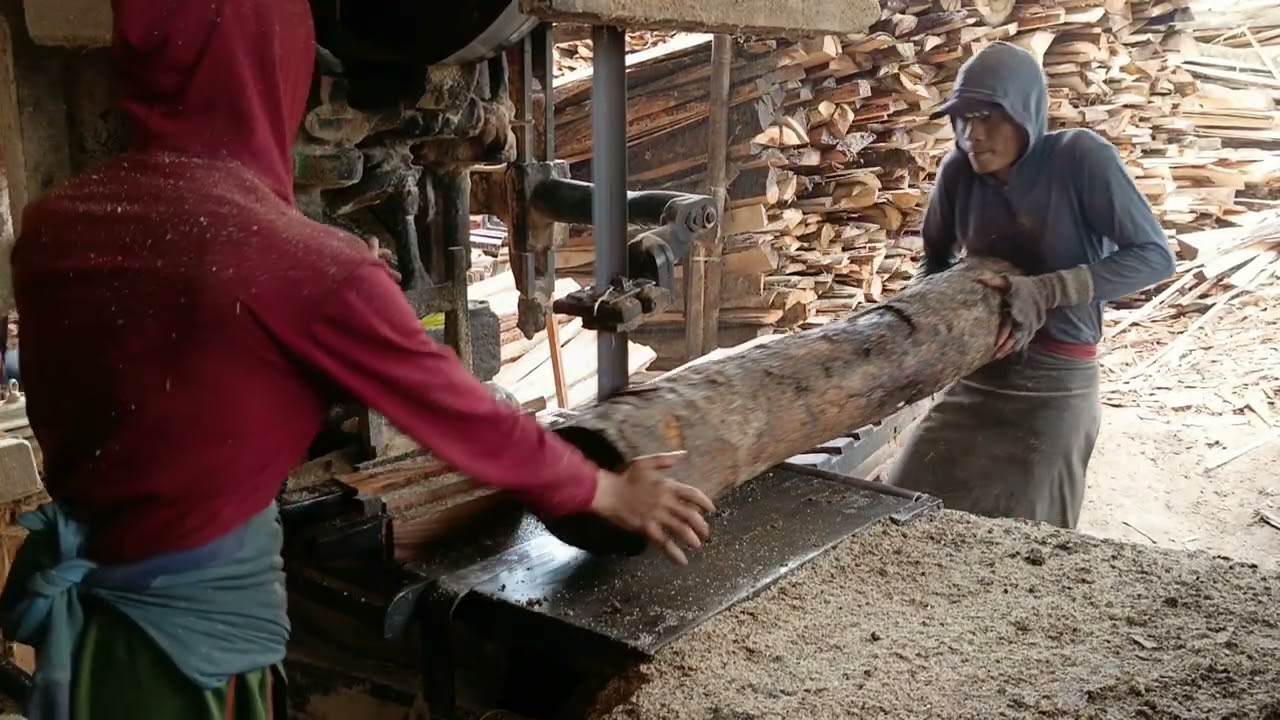 BERLIPAT HASILNYA POTONG KAYU KERAS 99