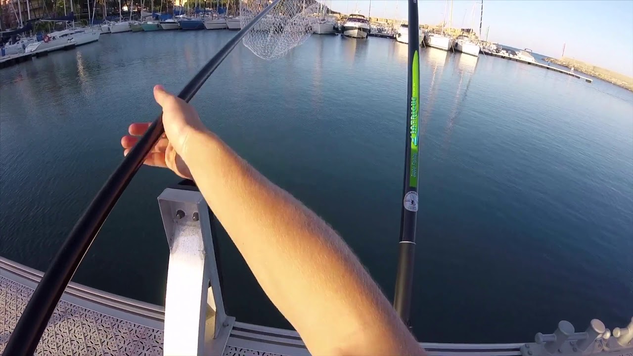 Pesca all’inglese in mare, niente big ma che poesia il canto della frizione! Sea fishing!❤️🎣