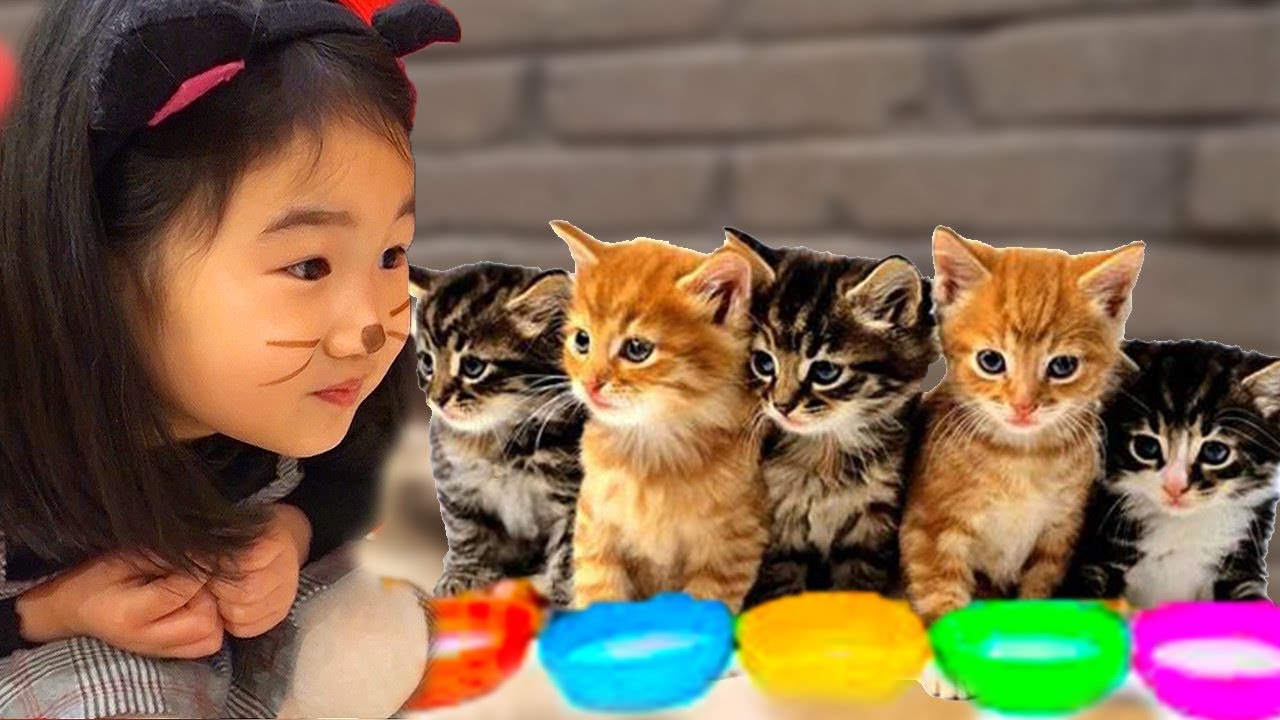 Boram Menemukan Anak Kucing Yang Lucu