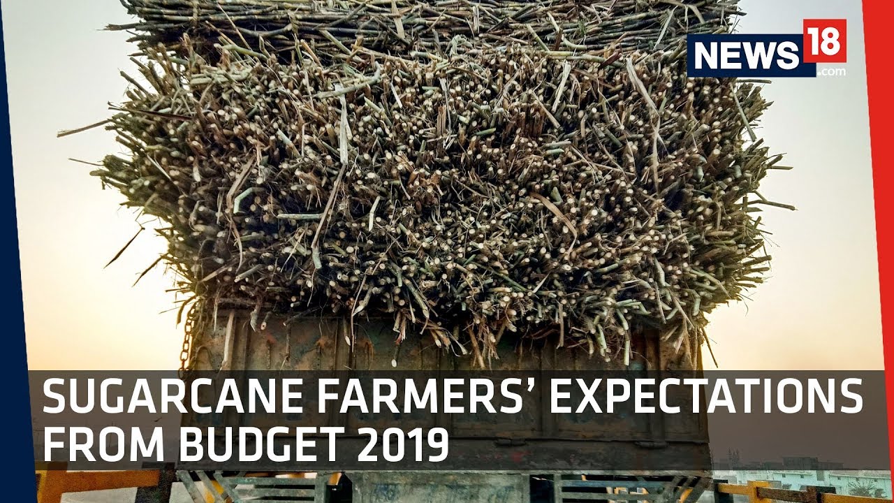 Sugarcane Farmers on Pending Payments and Demands | Budget 2019