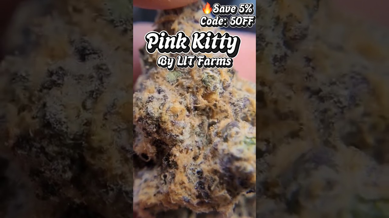 LIT Farms - Pink Kitty: Supreme Tier Ounce Review & Macro Nug Shots - Fire, BEAUTIFUL Hybrid Smoke 🔥