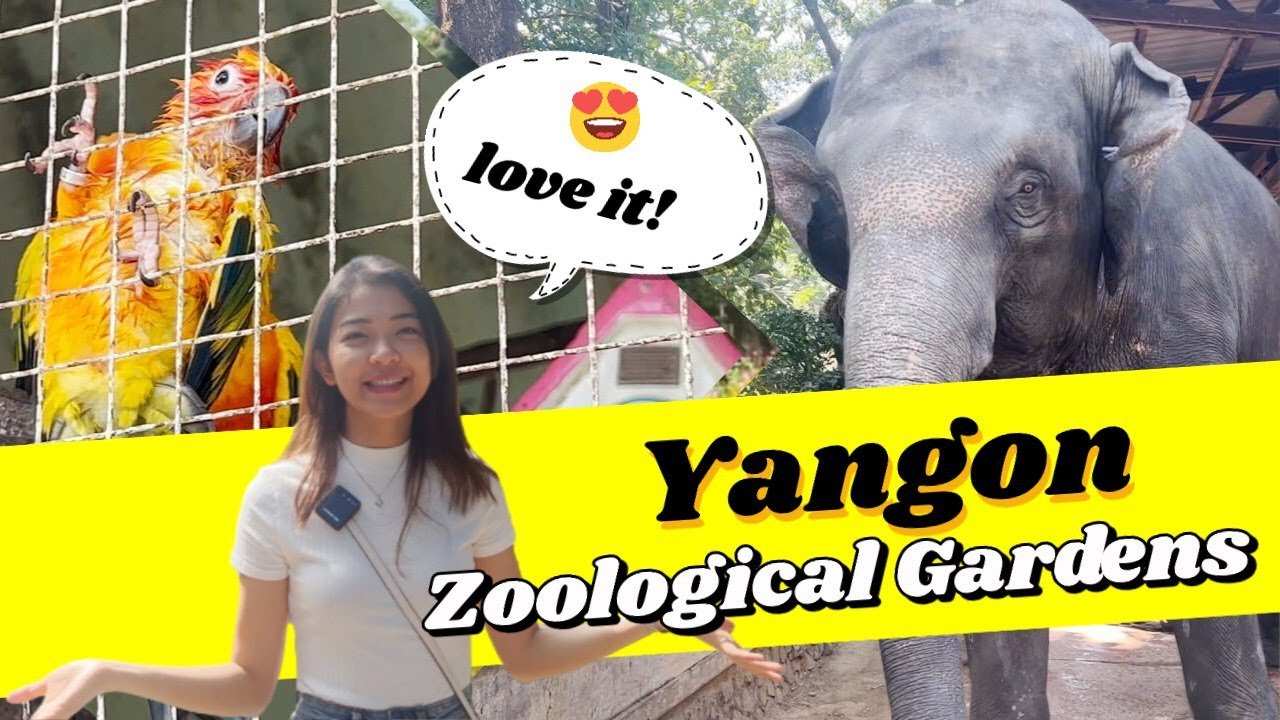Take a trip to the oldest in Yangon, Myanmar, where you can see animals up close.
