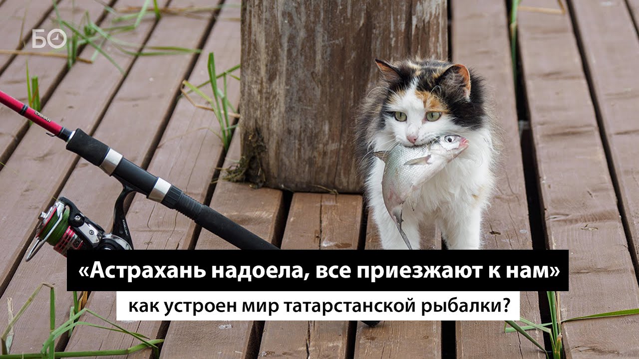 Как устроен мир татарстанской рыбалки? | Репортаж