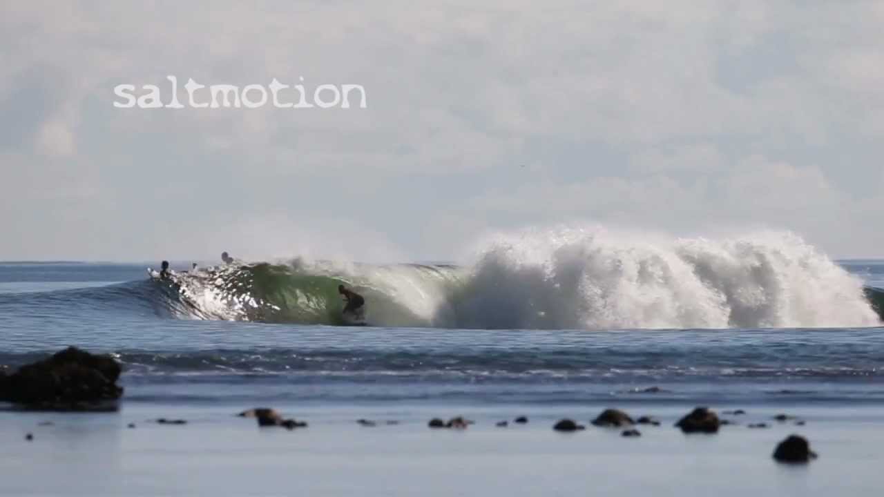 Saltmotion PNG November 2012