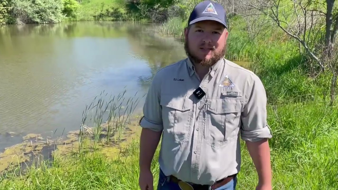 Habitat Hints: Fish Stocking