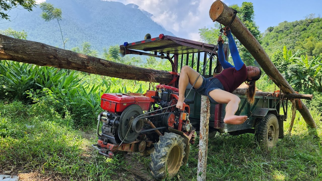 agricultural vehicle transporting timber, transporting huge logs
