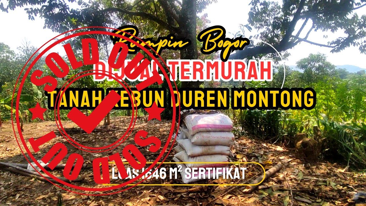 Dijual Cepat TERMURAH Tanah Kebun Duren Montong 1646 m² SHM di Rumpin Bogor